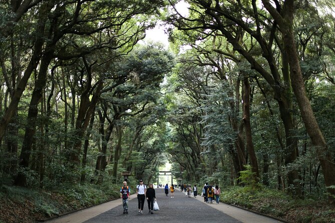 Tokyo Tailored 4 Hours Private Guided Tour - Asakusa and Senso-ji in 40 minutes