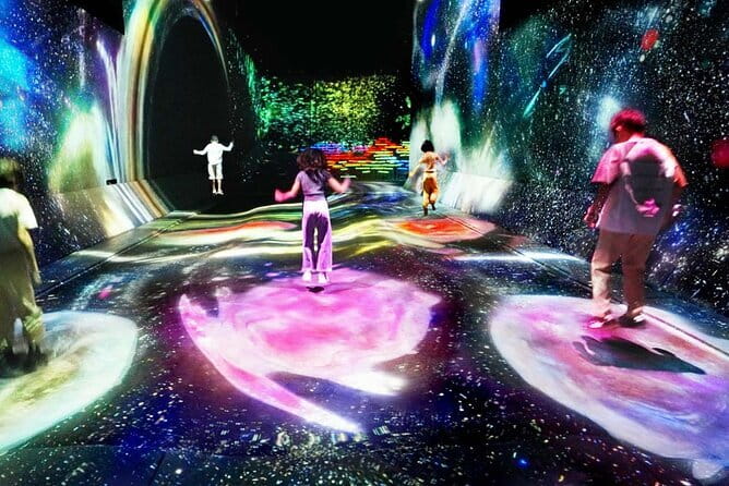 Tokyo: teamLab Borderless Museum Admission Ticket - Key points at a glance