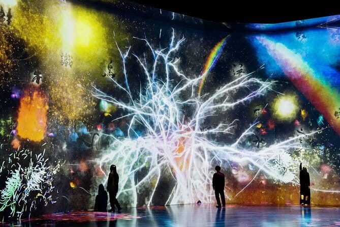 Tokyo: teamLab Borderless Museum Admission Ticket - What teamLab Borderless is trying to do