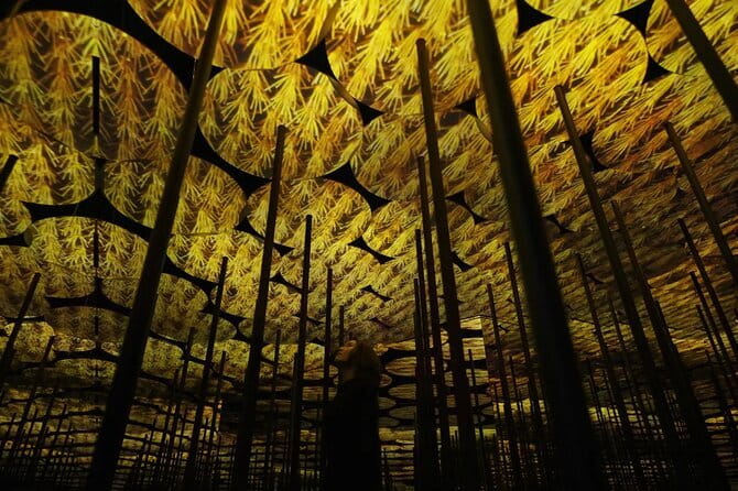 Tokyo: teamLab Borderless Museum Admission Ticket - Why the QR codes are worth your time