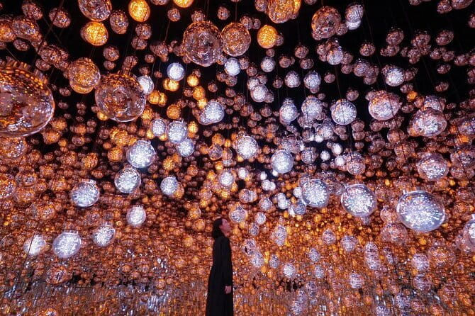 Tokyo: teamLab Borderless Museum Admission Ticket - The art moves beyond the room