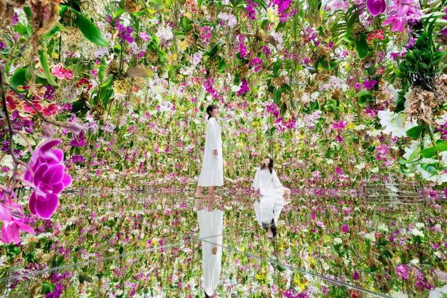 Tokyo: teamLab Planets TOKYO Digital Art Museum Entry Ticket - What teamLab Planets asks you to do