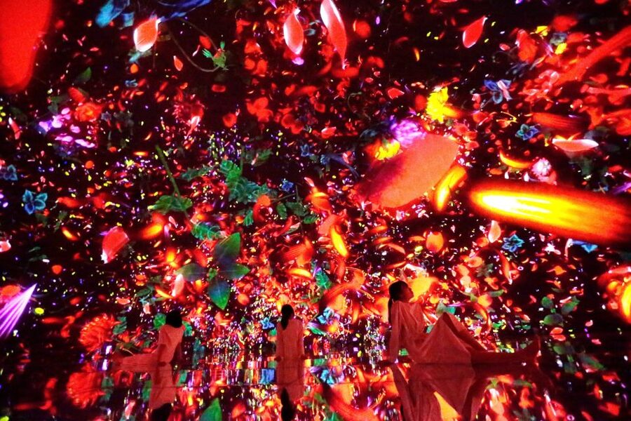 Tokyo: teamLab Planets TOKYO Digital Art Museum Entry Ticket - Should you book it?