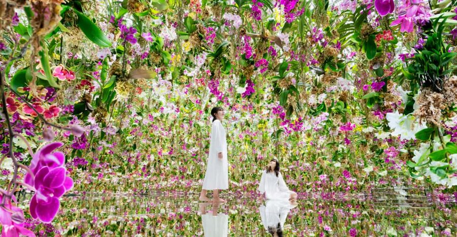 Tokyo: teamLab Planets TOKYO Digital Art Museum Entry Ticket - Why the exhibition works for families and adults
