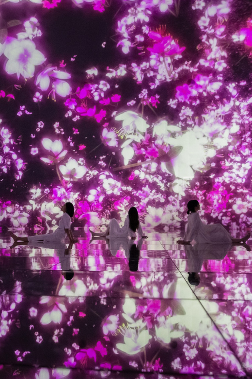 Tokyo: teamLab Planets TOKYO Digital Art Museum Entry Ticket - Tips for a smoother visit