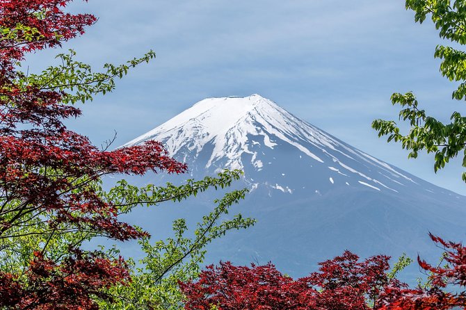 Tokyo to Hakone | Private and Personalized Day Trip with a Local - Hakone Shrine and its red torii
