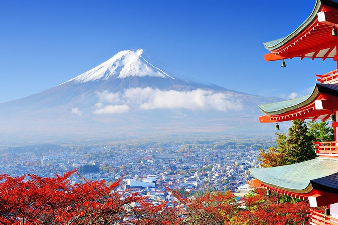 Tokyo to Hakone | Private and Personalized Day Trip with a Local - Ropeway, cable car, and the sightseeing ship