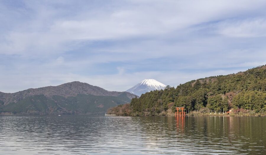 Tokyo to Hakone: Private Scenic Day Trip Experience - FAQ