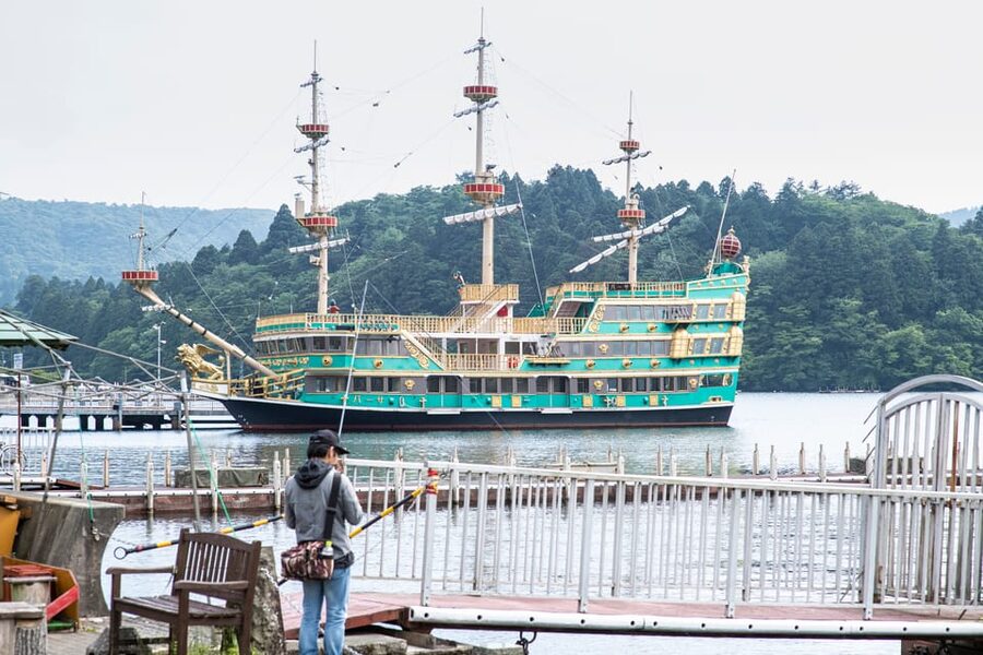 Tokyo to Hakone: Private Scenic Day Trip Experience - Seeing Hakone through a private guide