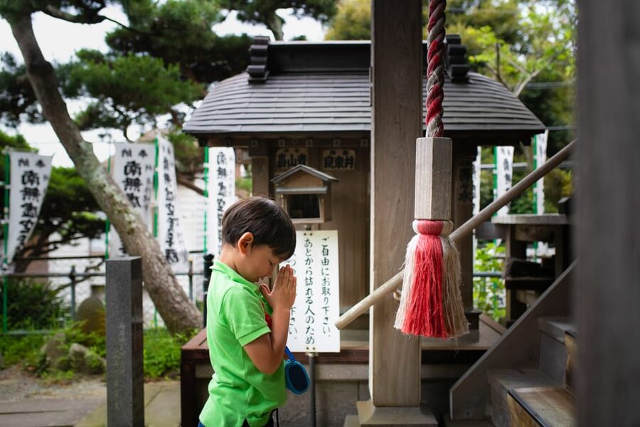 Tokyo to Kamakura: Coastal Day Trip Experience - The Great Buddha and Kamakura’s Buddhist heart