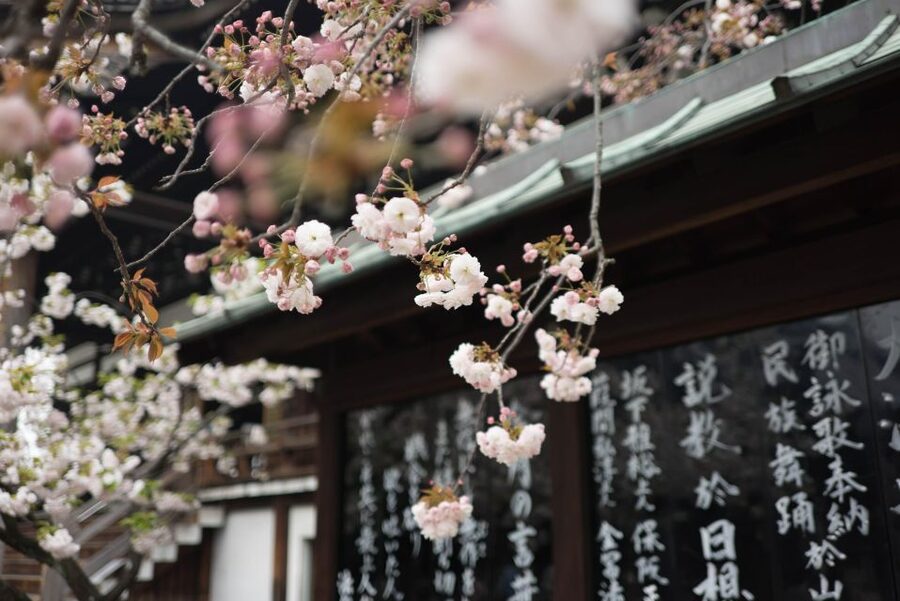 Tokyo to Kawagoe: Private Historical Day Trip - Penny Candy Lane and Kawagoe’s sweet-potato side