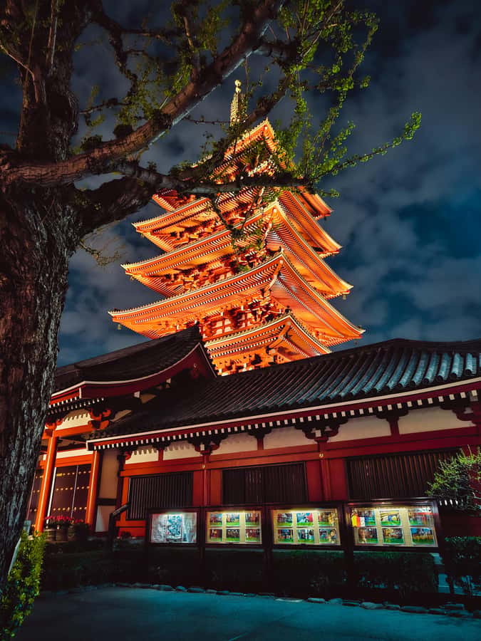 Tokyo to Mount Fuji A Full Day Private Tour From Tokyo - A private road trip from Tokyo to Fuji country