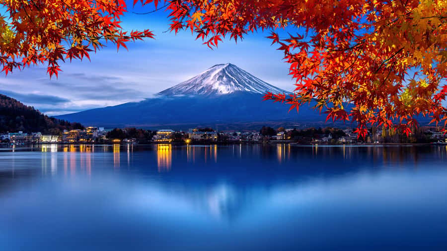 Tokyo to Mount Fuji A Full Day Private Tour From Tokyo - Mount Fuji 5th Station, the highest main viewpoint on the route