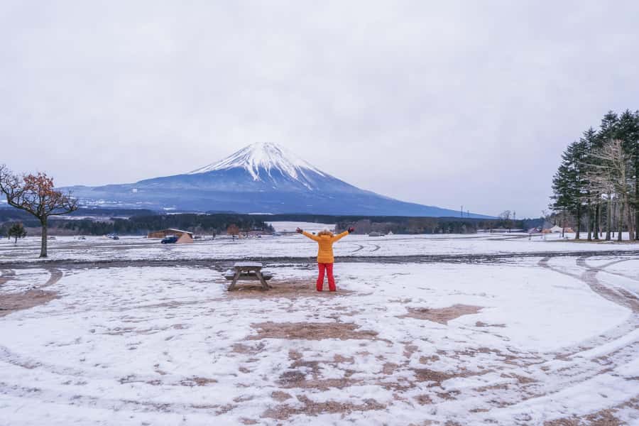 Tokyo to Mount Fuji A Full Day Private Tour From Tokyo - Yamanashi Prefecture and the local side of the trip