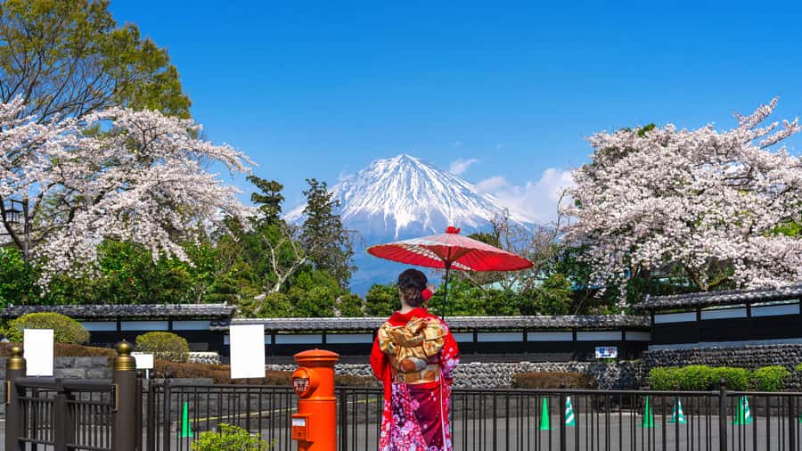Tokyo to Mount Fuji A Full Day Private Tour From Tokyo - Chureito Pagoda and the famous Fuji photograph