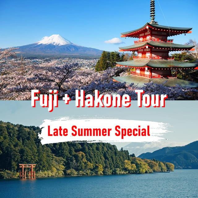 Tokyo to Mount Fuji and Hakone: Private Full-Day Tour - A private road day from Tokyo to two famous sights