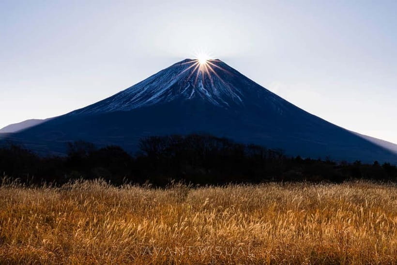 Tokyo To Mount FUJI Day Trip With English guide - Kitaguchi-hongu Fuji Sengen Shrine