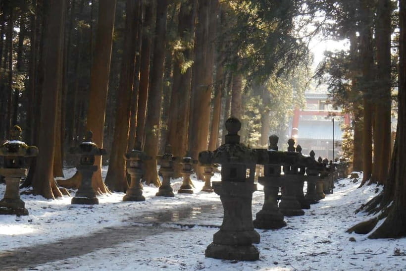 Tokyo To Mount FUJI Day Trip With English guide - Oishi Park for the classic Fuji frame