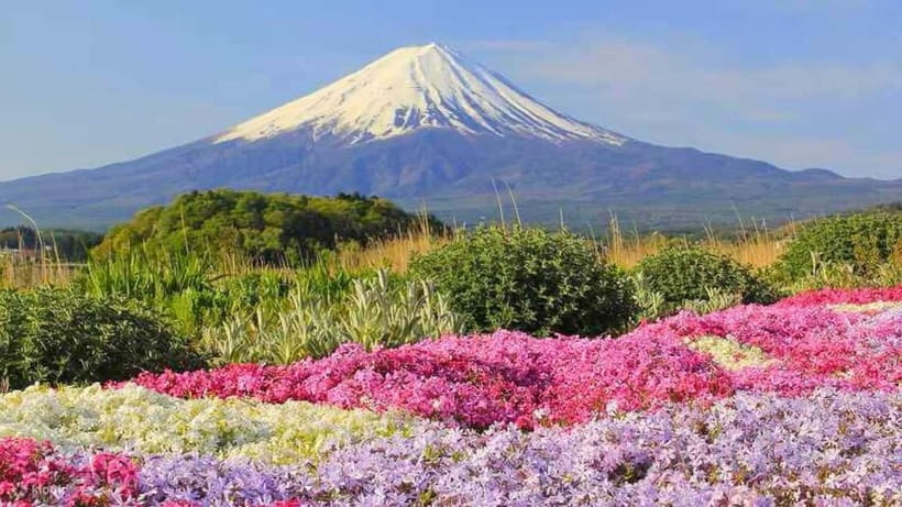 Tokyo To Mount FUJI Day Trip With English guide - Fuji Subaru Line 5th Station at 2,300 metres
