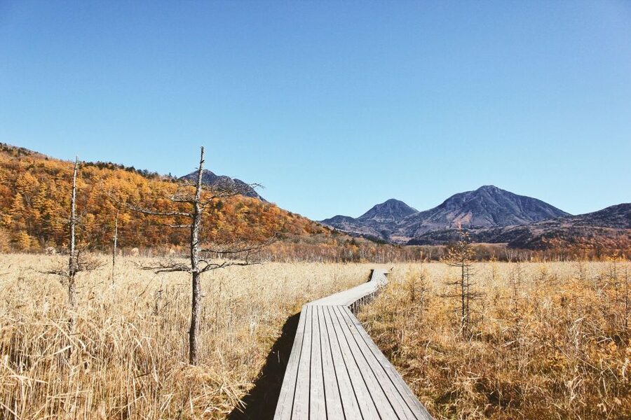 Tokyo to Nikko: Exclusive Private Day Trip - Who should choose this Nikko day trip?