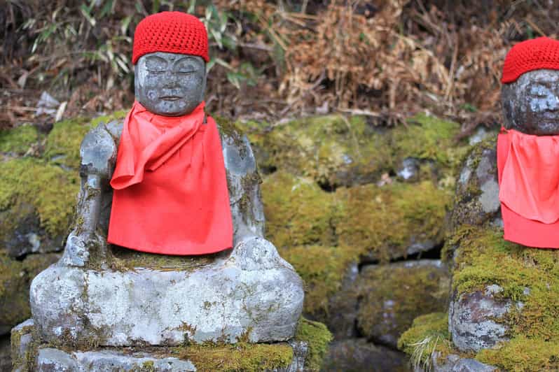 Tokyo to Nikko: Exclusive Private Day Trip - Starting in Tokyo with the Tobu Limited Express