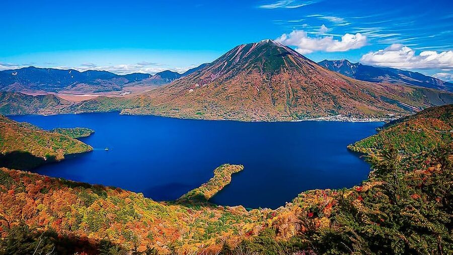 Tokyo to Nikko Private Customizable Full Day Tour W/D Driver - Lunch, yuba, and the value of a local stop
