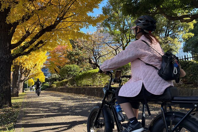 Tokyo Top Highlights 3h Guided E-bike Tour - Pace, Comfort, and Safety on Tokyo Streets