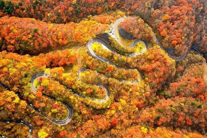 Tokyo: Toshogu Shrine (Nikko Toshogu), Lake Chuzenji, Kegon Falls - Why Nikko makes a worthwhile day from Tokyo