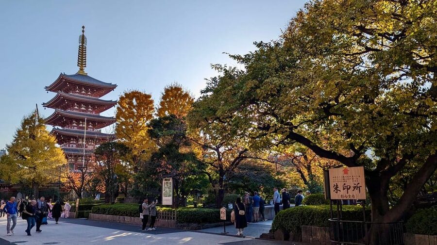 Tokyo: Tour Privado por Tokio en español - What the $338 group price really buys