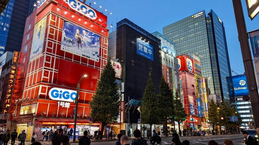 Tokyo: Tour Privado por Tokio en español - Guide quality and the importance of confirming pickup