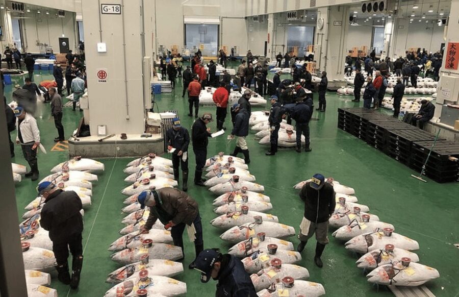 Tokyo: Toyosu & Tsukiji Market Adventure with Tuna Auction - Key points to know before booking