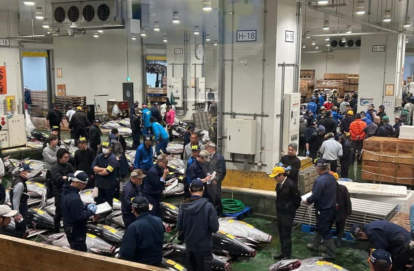 Tokyo: Toyosu & Tsukiji Market Adventure with Tuna Auction - Why the tuna auction is worth the early alarm