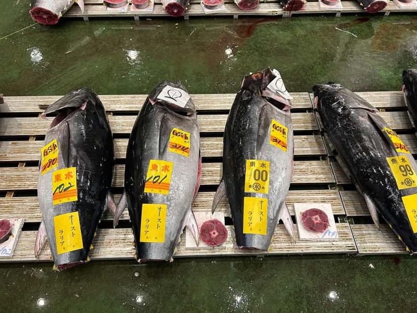 Tokyo Toyosu Tuna Auction + Breakfast (Sushi Dai or Bentomi) - Why Toyosu before sunrise is worth the effort