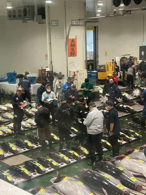 Tokyo Toyosu Tuna Auction + Breakfast (Sushi Dai or Bentomi) - What the 150-minute schedule feels like