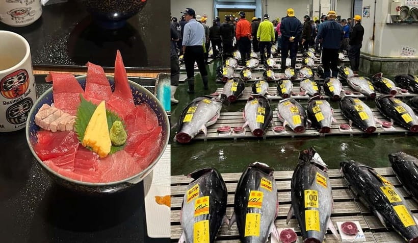 Tokyo Toyosu Tuna Auction + Breakfast (Sushi Dai or Bentomi) - Choosing between the third-floor gallery and VIP deck
