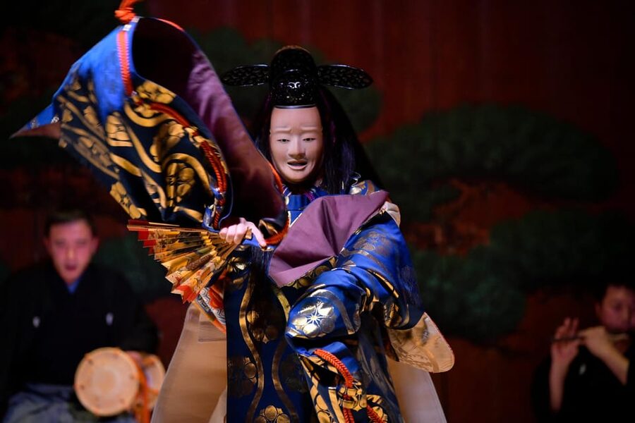 Tokyo: Traditional Japanese Performing Arts Show and Dinner - Dietary needs and age limits