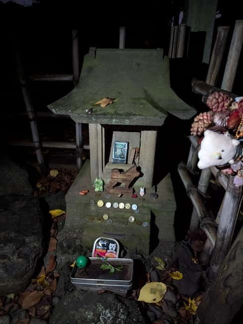 Tokyo: True Crime And Ghost Stories Tour - Key points to know before booking