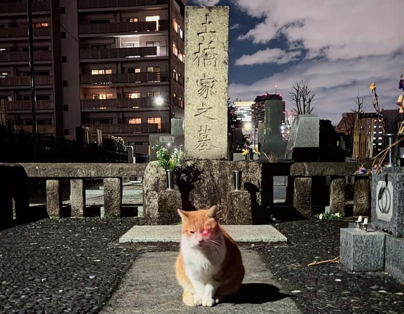 Tokyo: True Crime And Ghost Stories Tour - Toyama Park and the weight of Unit 731