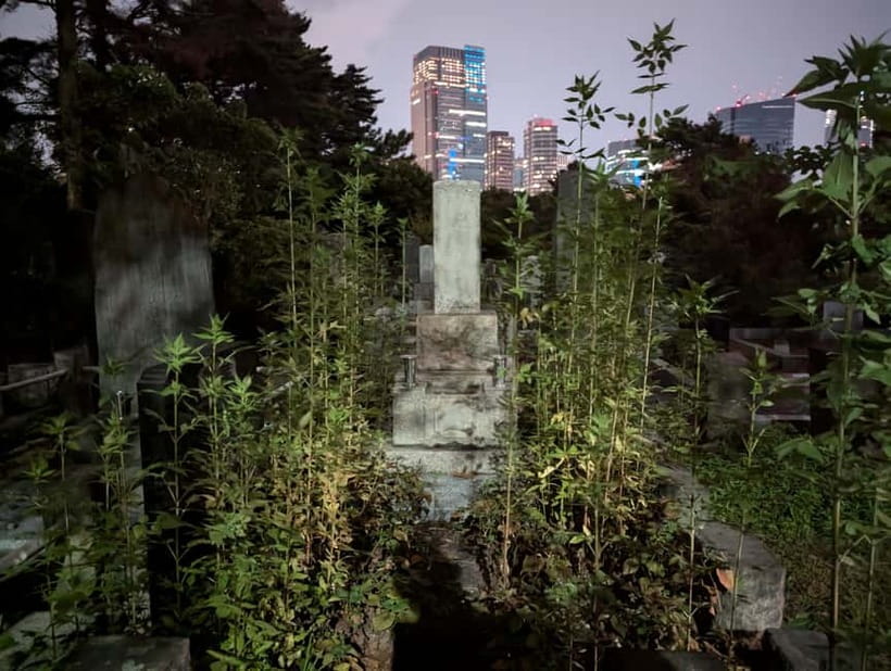 Tokyo: True Crime And Ghost Stories Tour - Aoyama Cemetery after dark