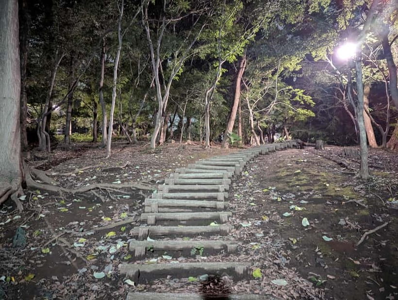 Tokyo: True Crime And Ghost Stories Tour - Walking conditions and who should join