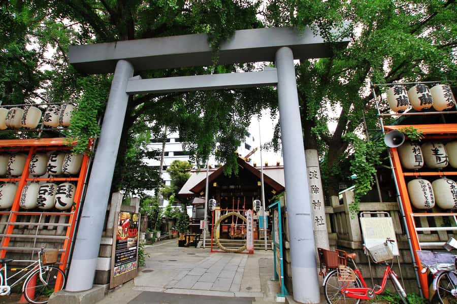 Tokyo : Tsukiji Fish Market Food Walking & Shrine Visit Tour - What you actually taste for $90