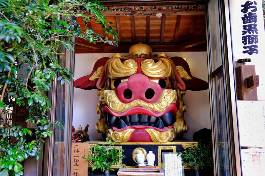 Tokyo : Tsukiji Fish Market Food Walking & Shrine Visit Tour - The guide and small-group experience