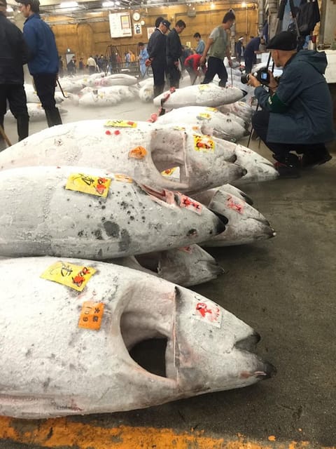 Tokyo: Tsukiji Fish Market Foodie and Educational Tour - Why this Tsukiji tour feels different