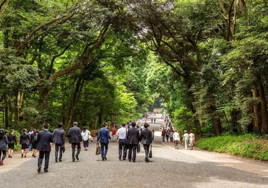 Tokyo Uncovered: A Luxury Day of Tradition & Tech - The reliability question you should not ignore