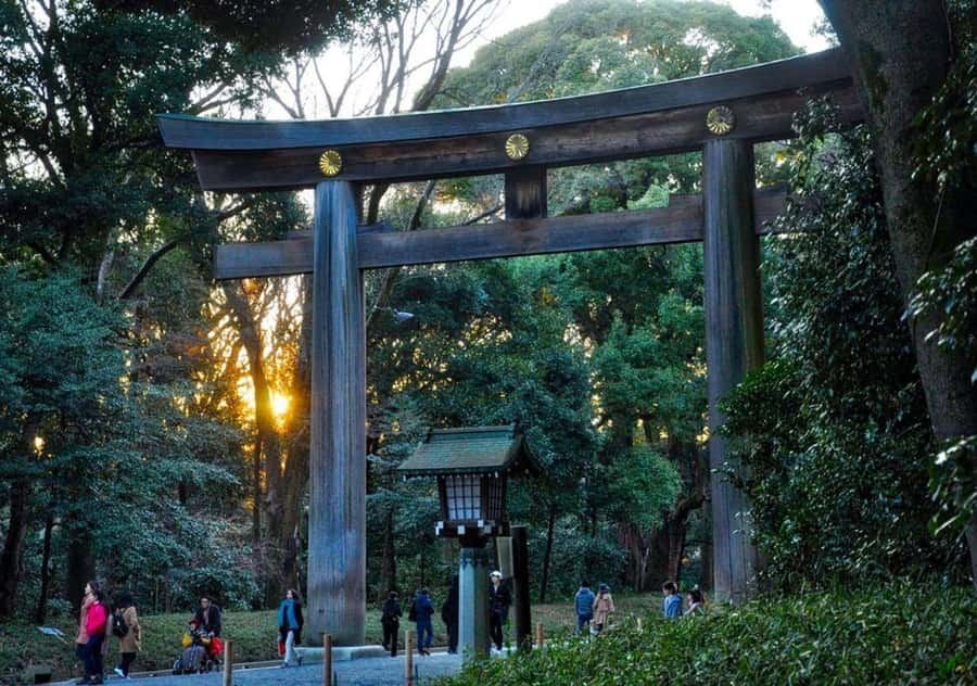 Tokyo Uncovered: A Luxury Day of Tradition & Tech - Harajuku and Takeshita Street in two separate hours
