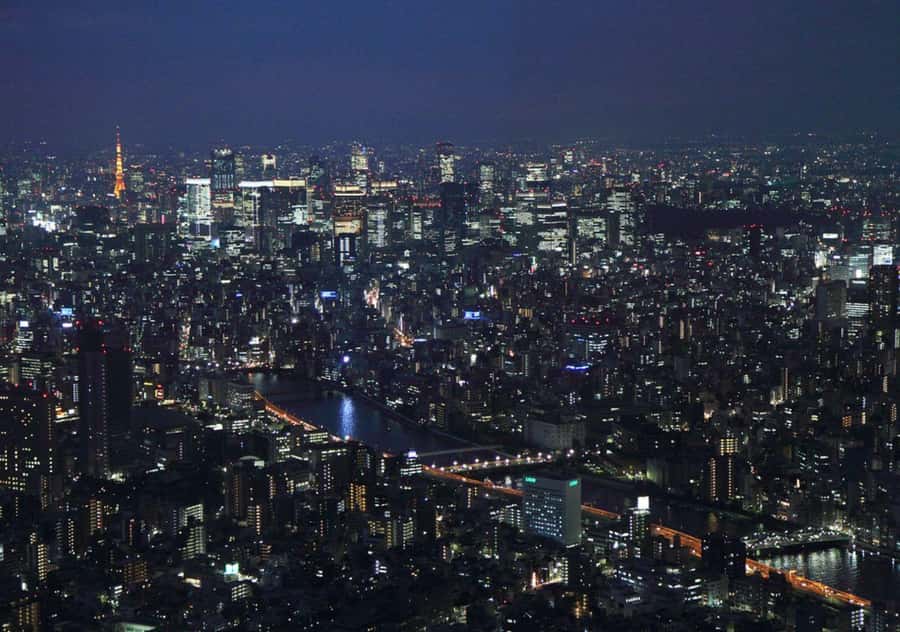 Tokyo Uncovered: A Luxury Day of Tradition & Tech - Starting quietly at Yoyogi Park and Meiji Shrine