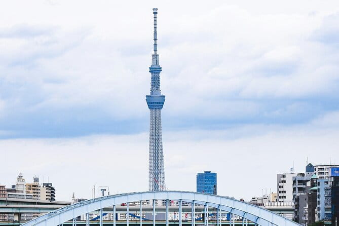 Tokyo Unlocked: A Private Day of Culture, Cuisine & City Secrets - How the private Tokyo day works