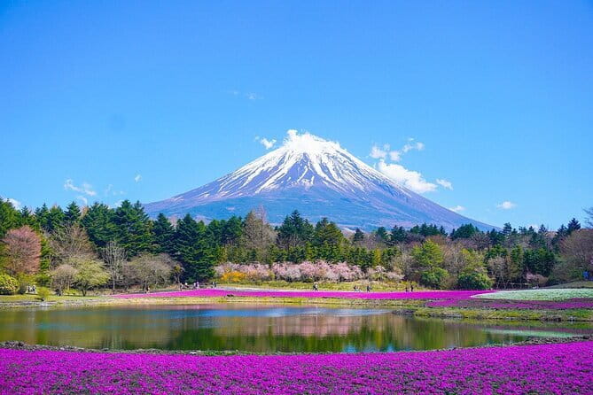 Tokyo Unlocked: A Private Day of Culture, Cuisine & City Secrets - The Imperial Palace and an important timing check