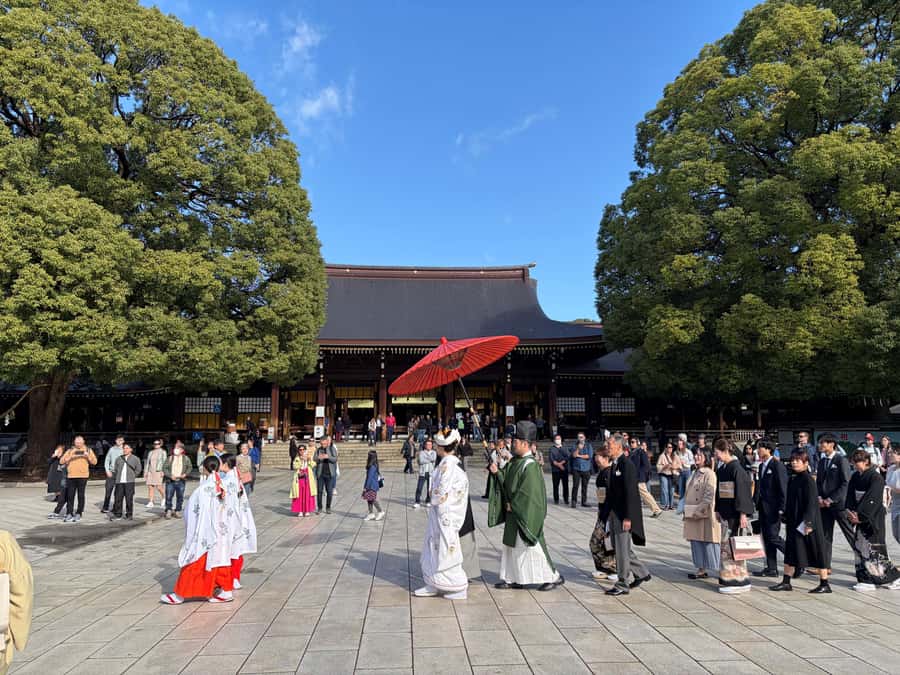 Tokyo: Visit 5 Shrines & Collect Goshuin on Private Tour - Key points to know before booking