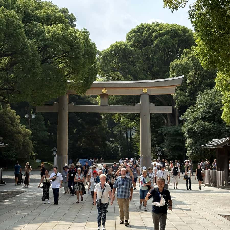 Tokyo: Visit 5 Shrines & Collect Goshuin on Private Tour - Starting with Sensoji in Asakusa